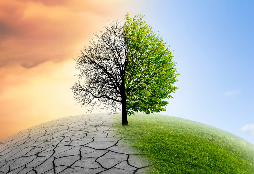 EE16: CO2 reduzieren